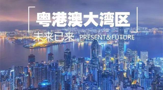 2025年新澳门和香港2025年正版资料免费大全,精选解析、专家解析解释与落实-警惕虚假宣传-精选解析、专家解析解释与落实