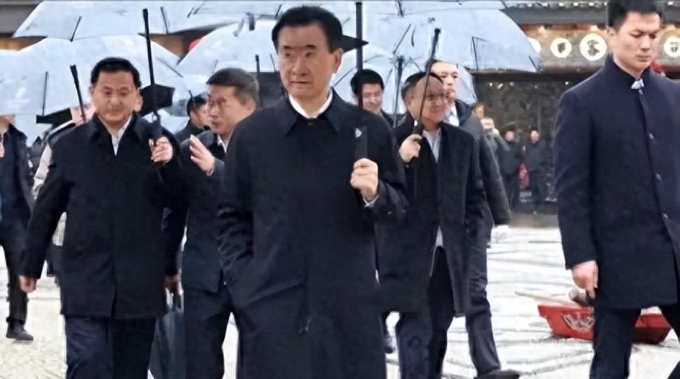 王思聪微信，揭秘商界大佬的社交圈层与数字生活